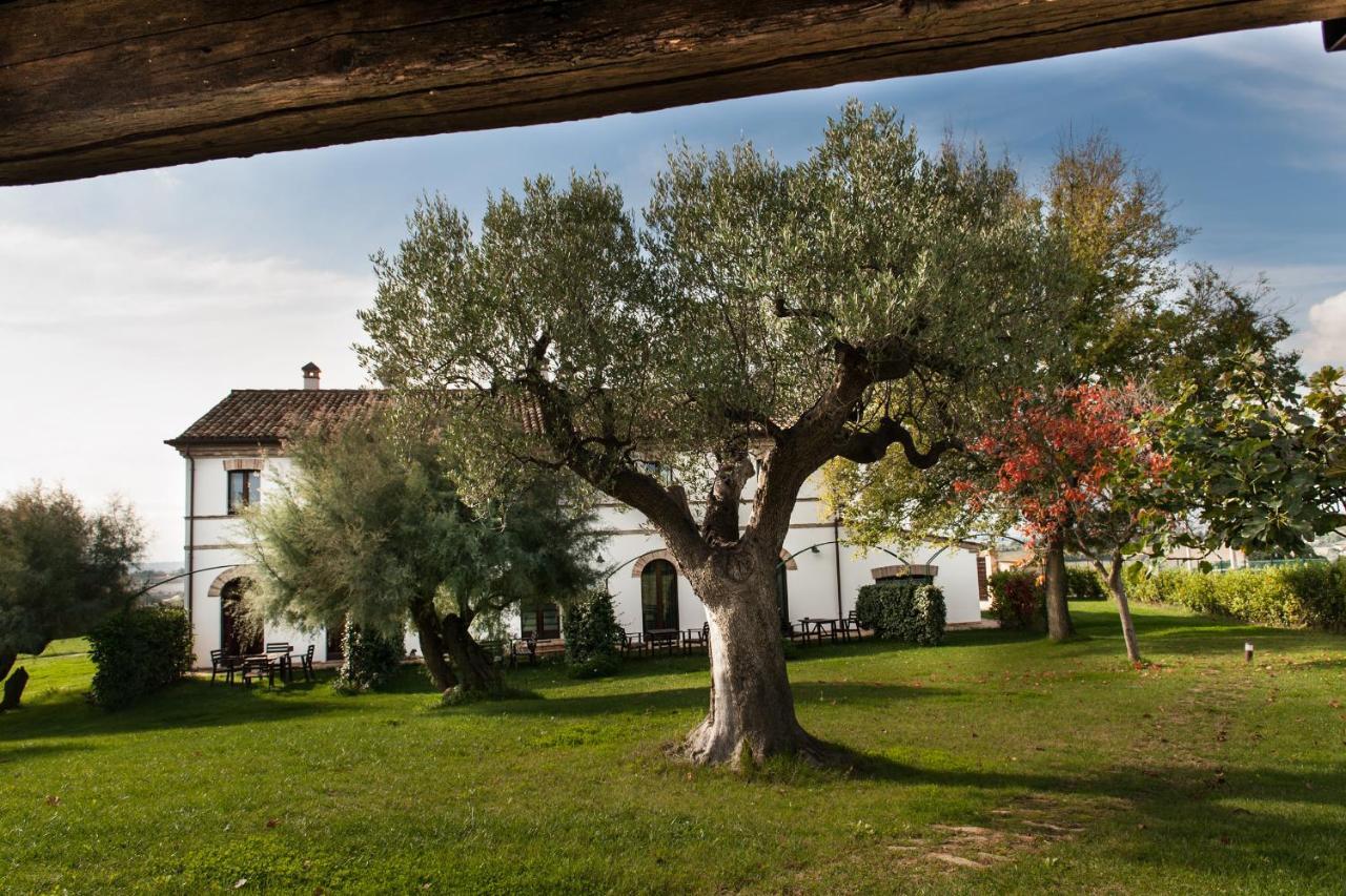 Villa Coralia Agriturismo Osimo Exteriör bild