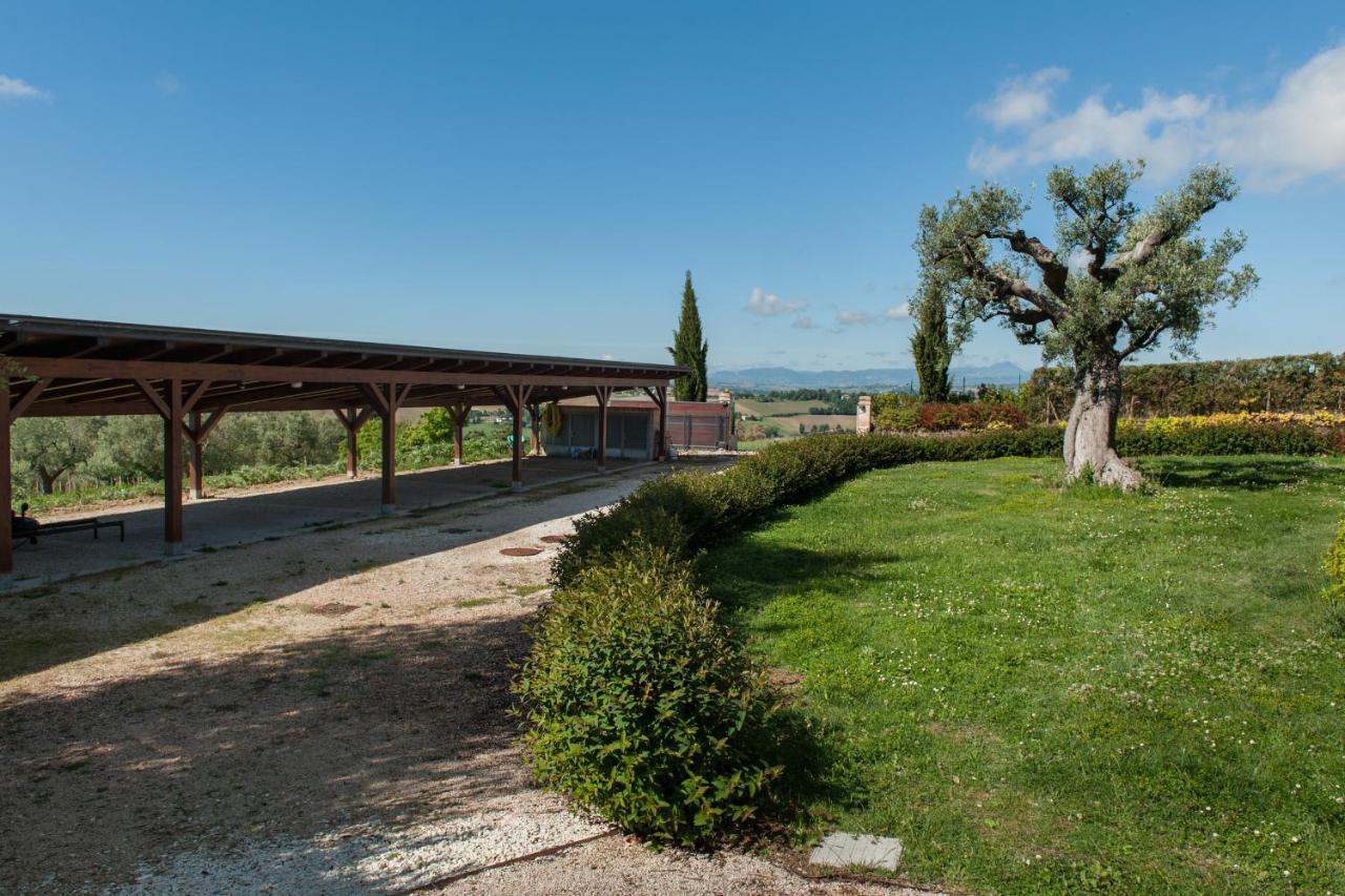 Villa Coralia Agriturismo Osimo Exteriör bild
